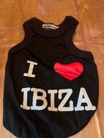 Ibiza truitje chihuahua of pup, Dieren en Toebehoren, Ophalen of Verzenden, Zo goed als nieuw