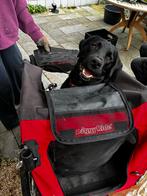 DoggyRide hondenfietskar, Dieren en Toebehoren, Ophalen of Verzenden, Gebruikt