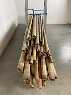 Bamboe palen, Doe-het-zelf en Verbouw, Hout en Planken, Gebruikt, Ophalen of Verzenden, Balk, Overige houtsoorten