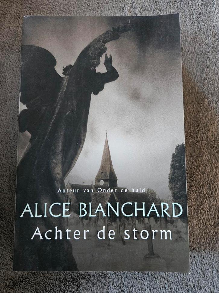 Achter de Storm - Alice Blanchard, Boeken, Thrillers, Gelezen, Nederland, Ophalen of Verzenden