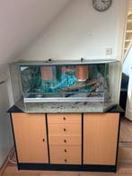 Groot Panorama terrarium 120 cm, Dieren en Toebehoren, Ophalen