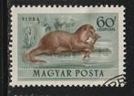 Hongarije 1953 - Otter, Ophalen of Verzenden, Gestempeld