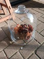 Glazen stolp decoratief, Huis en Inrichting, Woonaccessoires | Stolpen, Ophalen, Zo goed als nieuw