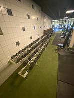 Dumbells 2-45kg, Sport en Fitness, Fitnessmaterialen, Ophalen, Dumbbell