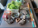 Terrarium decoratie, verlichting, Dieren en Toebehoren, Reptielen en Amfibieën | Toebehoren, Ophalen, Zo goed als nieuw