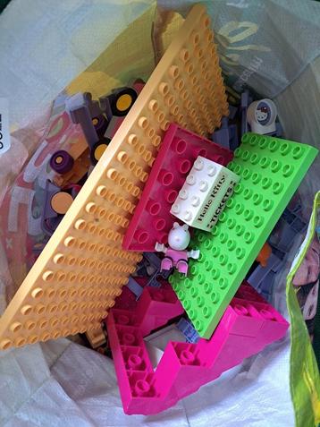 Duplo meisjes beschikbaar voor biedingen