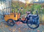 Electrische bakfiets Vogue Carry 3 (4 zits), Fietsen en Brommers, 4 kinderen of meer, Gebruikt, Elektrisch, Ophalen