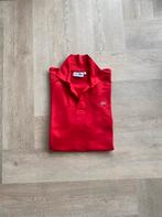 Polo, Lacoste, Kleding | Heren, Maat 52/54 (L), Lacoste, Ophalen of Verzenden, Zo goed als nieuw
