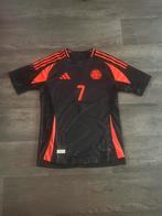 Luis diaz copa america away shirt, Maat L, Ophalen of Verzenden, Zo goed als nieuw, Shirt