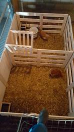 2 aflammerhokjes/ kraamhokjes schaap, Dieren en Toebehoren, Schapen, Geiten en Varkens, Meerdere dieren, Schaap