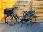 Giant Elektrische Fiets - Nette Staat, Ophalen, Gebruikt, Giant, 51 tot 55 cm