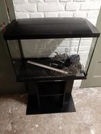 Mooie aquarium tekoop, Dieren en Toebehoren, Vissen | Aquaria en Toebehoren, Ophalen of Verzenden, Zo goed als nieuw, Leeg aquarium
