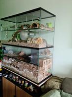 Gerbilarium Uitbreiding – Opzetstuk van Glas 75x40 cm, Minder dan 60 cm, Ophalen of Verzenden, Hok, Hamster