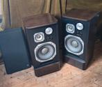 Mitsubishi DS-50CS  zeldzaam, Ophalen, Zo goed als nieuw, Front, Rear of Stereo speakers, Overige merken