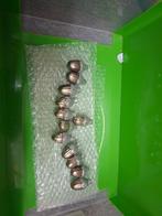 12 Eikels voor in de boom, Ophalen, Zo goed als nieuw