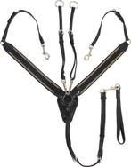 Catago Borsttuig met Martingaal, maat Cob en Full, Dieren en Toebehoren, Ophalen of Verzenden, Nieuw, Springen