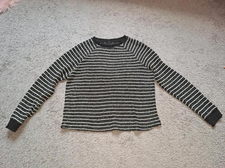 Zgan trui maat m/l streep/glitter, Kleding | Dames, Truien en Vesten, Zo goed als nieuw, Maat 38/40 (M), Overige kleuren, Ophalen of Verzenden