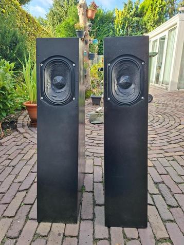 Catherham Audio Technology Model Seven Subwoofer Systeem beschikbaar voor biedingen