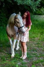 Leaser/Bijrijder aangeboden – Omgeving Veenendaal, Ophalen, Nieuw