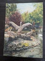 Verkade prent zwanen- en pelikanenvijver Artis, Ophalen of Verzenden, Voor 1940, Gebruikt