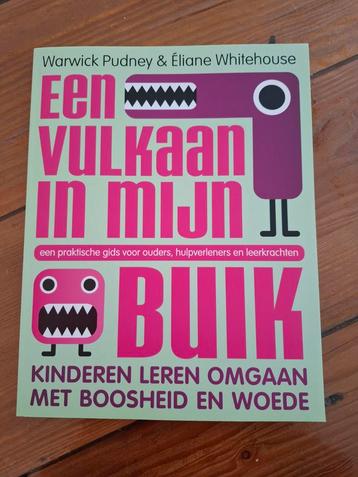 Een vulkaan in mijn buik  beschikbaar voor biedingen