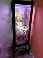 Ikea fabrikor greenhouse compleet, Huis en Inrichting, Ophalen, 25 tot 50 cm, 50 tot 100 cm, Minder dan 100 cm