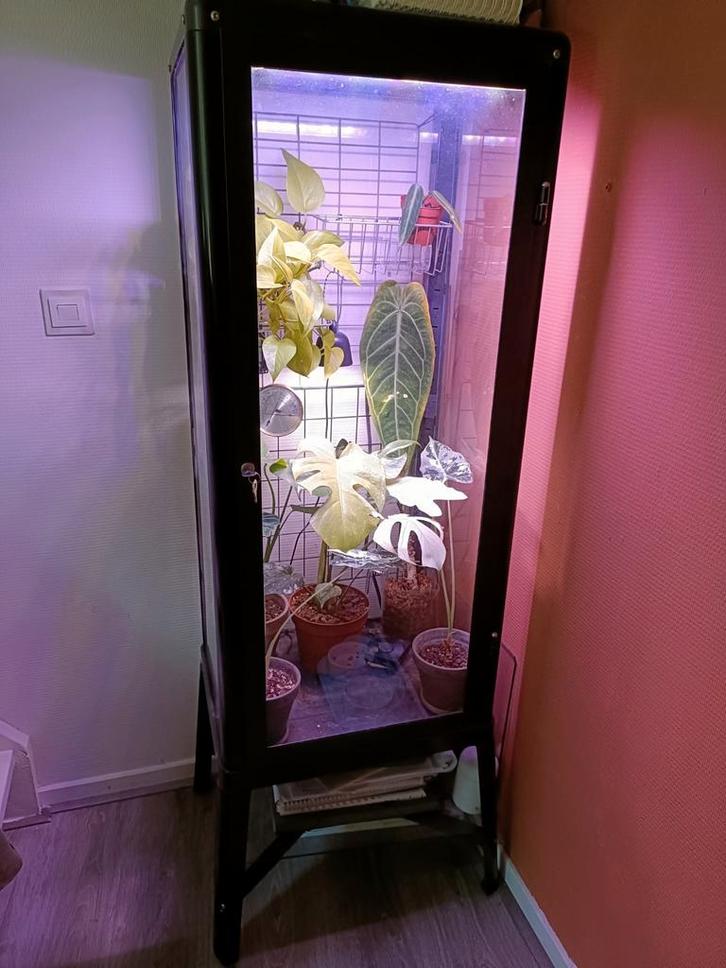 Ikea fabrikor greenhouse compleet, Huis en Inrichting, Kasten | Vitrinekasten, Minder dan 100 cm, 50 tot 100 cm, 25 tot 50 cm