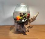 Te koop unieke mooie vis kom, aquarium, Ophalen of Verzenden, Zo goed als nieuw