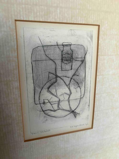 Ets van Irene Verbeek - titel: Fruit Fuinical, Antiek en Kunst, Kunst | Schilderijen | Modern, Ophalen