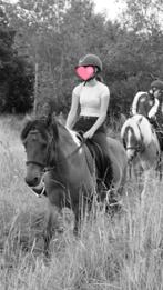 Bijrijder aangeboden, Dieren en Toebehoren, Paarden en Pony's | Verzorgingsproducten, Ophalen of Verzenden, Nieuw