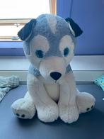 Zeer grote husky knuffel, Ophalen, Gebruikt, Hond