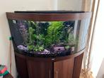 Te koop 360 liter aquarium, Ophalen, Gebruikt, Gevuld zoetwateraquarium