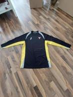 James&Nicholson golkeeper Shirt Sparta, Maat L, Verzamelen, Sportartikelen en Voetbal, Ophalen of Verzenden, Gebruikt, Sparta