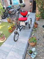 Van Raam elektrische fiets en scootmobiel, Ophalen, Zo goed als nieuw, VAN RAAM