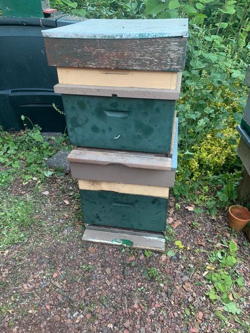 Twee bijenkasten, Dieren en Toebehoren, Insecten en Spinnen, Bijen