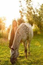 Unieke fotoshoots met je paard op eigen erf, Ophalen