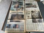 4 Kranten + VN over de Aanslagen van 9/11 in Amerika, Verzamelen, Ophalen of Verzenden, 1980 tot heden, Krant