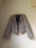 Maison Scotch gevoerd Jasje grijs gemêleerd maat 38, Maat 38/40 (M), Zo goed als nieuw, Jasje, Grijs