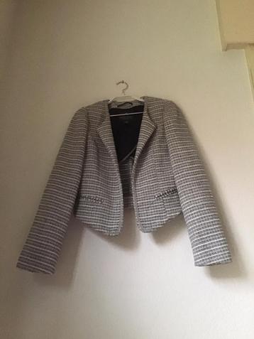Maison Scotch gevoerd Jasje grijs gemêleerd maat 38 beschikbaar voor biedingen