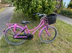 Alpina Cargo meisjesfiets roze 22 inch, Fietsen en Brommers, Ophalen, Zo goed als nieuw, 22 inch, Alpina Cargo