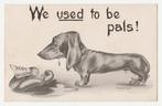Teckels.  Honden., Verzenden, 1920 tot 1940, Ongelopen, Overige thema's