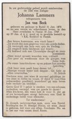 Johanna Lammers 1875 Budel + 1949 Heeze, 73 jaar oud, Verzamelen, Verzenden, Bidprentje