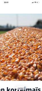 Agrarisch grond 8 hectare in Marokko, Ophalen of Verzenden