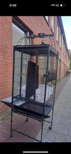 New, Ophalen of Verzenden, Zo goed als nieuw, Metaal, Vogelkooi