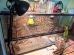 Terarium, Dunvingergekko's, Toebehoren, Dieren en Toebehoren, Reptielen en Amfibieën | Toebehoren, Ophalen, Zo goed als nieuw
