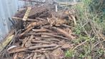 Gratis brandhout af te halen, Tuin en Terras, Haardhout, 3 tot 6 m³, Ophalen, Overige houtsoorten, Stammen