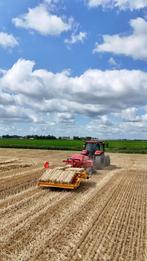 Tarwe stro pakjes --> strak, Dieren en Toebehoren, Stalling en Weidegang, Weidegang, 4 paarden of pony's of meer
