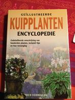 KUIPPLANTEN, Ophalen of Verzenden, Zo goed als nieuw, Tuinieren en Tuinplanten