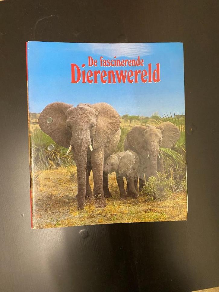 Klapper met dierenwereld kaarten, Diversen, Schoolbenodigdheden, Nieuw, Ophalen of Verzenden
