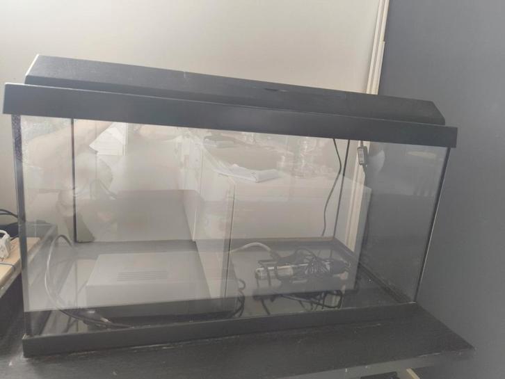 Jewel aquarium Primalux 60 met verlichting en toebehoren, Dieren en Toebehoren, Vissen | Aquaria en Toebehoren, Gebruikt, Leeg aquarium